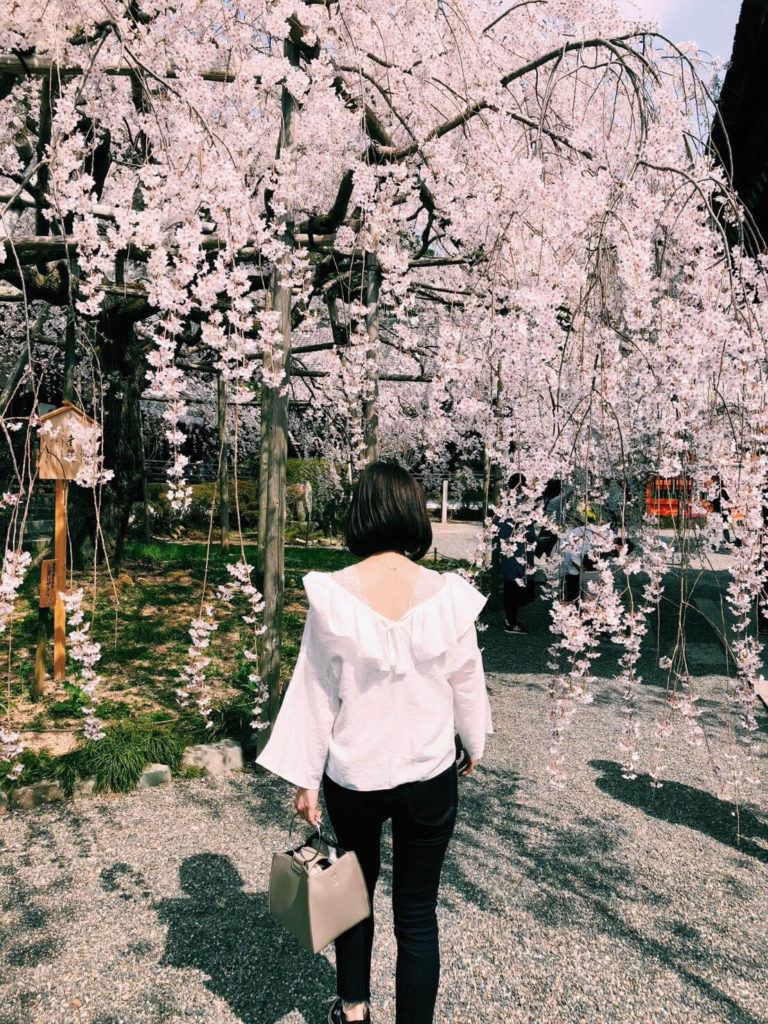 枝垂れ桜と自分の写真